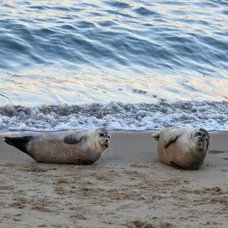 Seaside Escape Mariakerke * Ostend