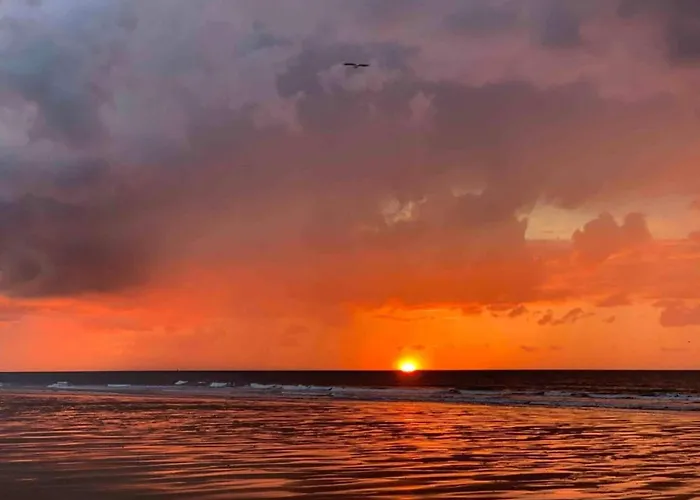 Seaside Escape Mariakerke Lejlighed *