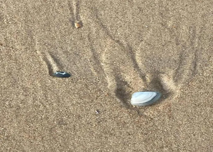 Apartamento Seaside Escape Mariakerke Ostend