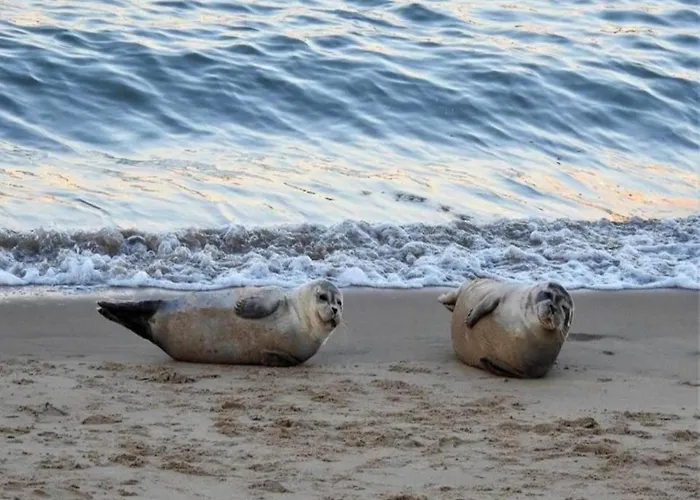 Seaside Escape Mariakerke * Oostende