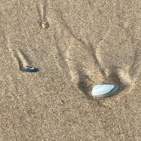 Apartment Seaside Escape Mariakerke Ostende